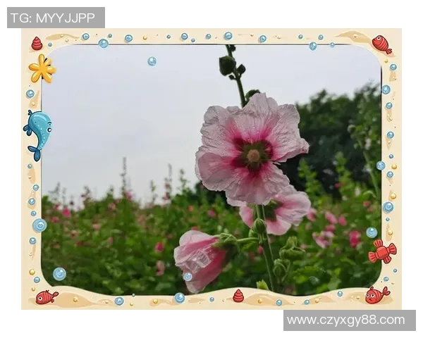 生活的艺术不仅在于娱乐更在于展现独特的生活态度与价值观